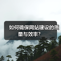 如何确保网站建设的质量与效率?(图2) 如何确保网站建设的质量与效率?(图2)
