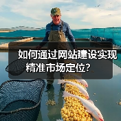 如何通过网站建设实现精准市场定位？（图3）