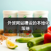 外贸网站建设的本地化策略（图2）