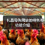 礼品导购网站的特色与功能介绍（图2）