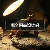 哪个网站设计好（图2）