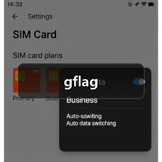 gflag（图2）