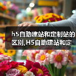 h5自助建站和定制站的区别,H5自助建站和定制站的区别（图2）