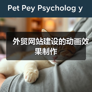外贸网站建设的动画效果制作