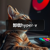 卸载hyper-v