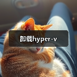 卸载hyper-v（图4）