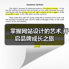 掌握网站设计的艺术,开启品牌成长之旅（图4）