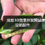 炫酷3D效果外贸网站建设的制作（图3）