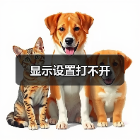 显示设置打不开
