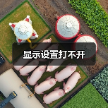 显示设置打不开（图4）