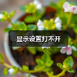 显示设置打不开（图2）