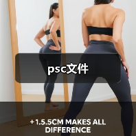 psc文件（图3）