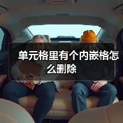 单元格里有个内嵌格怎么删除(图2) 单元格里有个内嵌格怎么删除(图2)