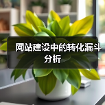 网站建设中的转化漏斗分析（图4）