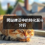 网站建设中的转化漏斗分析（图1）