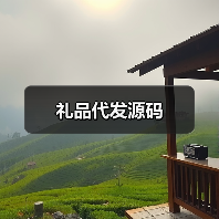 礼品代发源码