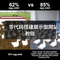 零代码搭建展示型网站教程（图2）