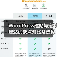 WordPress建站与定制建站优缺点对比及选择建议(图1) WordPress建站与定制建站优缺点对比及选择建议(图1)