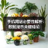 手机网站必要性解析:数据揭示关键结论(图2) 手机网站必要性解析:数据揭示关键结论(图2)