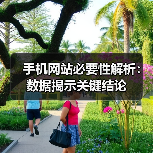 手机网站必要性解析:数据揭示关键结论(图3) 手机网站必要性解析:数据揭示关键结论(图3)