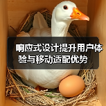 响应式设计提升用户体验与移动适配优势(图3) 响应式设计提升用户体验与移动适配优势(图3)