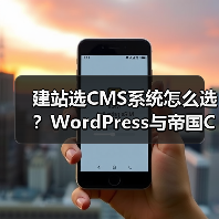 建站选CMS系统怎么选？WordPress与帝国CMS功能、安全性、性能对比分析（图1）