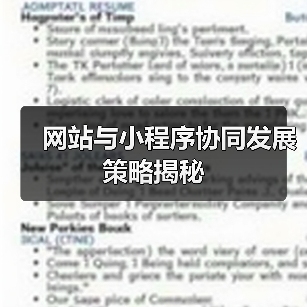 网站与小程序协同发展策略揭秘（图1）