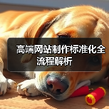 高端网站制作标准化全流程解析（图4）