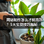 网站制作怎么才能高效?5大实战技巧揭秘(图4) 网站制作怎么才能高效?5大实战技巧揭秘(图4)