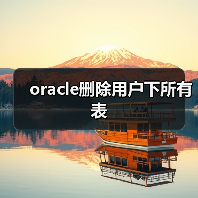 oracle删除用户下所有表(图4) oracle删除用户下所有表(图4)