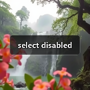 select disabled（图1）