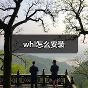 whl怎么安装（图1）
