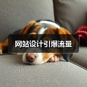 网站设计引爆流量（图4）