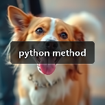 python method(图2) python method(图2)