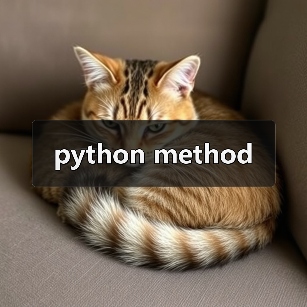python method(图1) python method(图1)