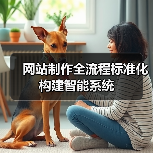 网站制作全流程标准化构建智能系统(图3) 网站制作全流程标准化构建智能系统(图3)