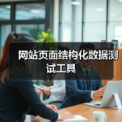 网站页面结构化数据测试工具（图1）