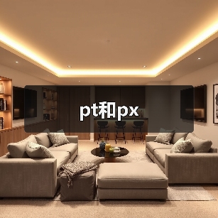 pt和px（图4）