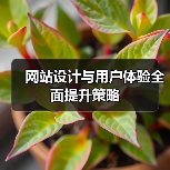 网站设计与用户体验全面提升策略（图1）