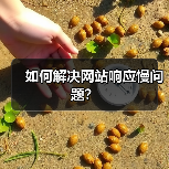 如何解决网站响应慢问题?(图4) 如何解决网站响应慢问题?(图4)