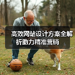 高效网站设计方案全解析助力精准营销（图3）
