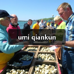 umi qiankun