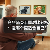 竞品SEO工具对比分析:选哪个更适合自己?(图3) 竞品SEO工具对比分析:选哪个更适合自己?(图3)