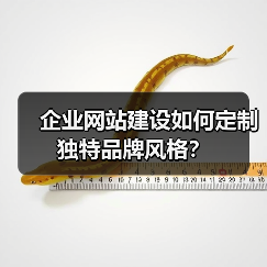 企业网站建设如何定制独特品牌风格?(图1) 企业网站建设如何定制独特品牌风格?(图1)