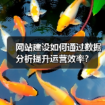 网站建设如何通过数据分析提升运营效率？（图1）