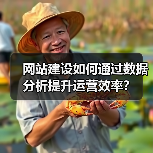 网站建设如何通过数据分析提升运营效率？（图3）