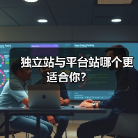 独立站与平台站哪个更适合你？（图1）