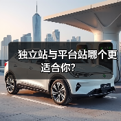 独立站与平台站哪个更适合你？（图2）