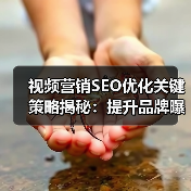 视频营销SEO优化关键策略揭秘:提升品牌曝光与用户参与度(图4) 视频营销SEO优化关键策略揭秘:提升品牌曝光与用户参与度(图4)