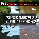 落地页转化率提升秘诀：掌握这8个心理技巧！（图1）